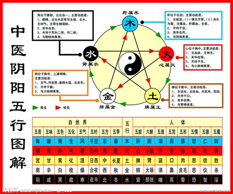 洋的五行